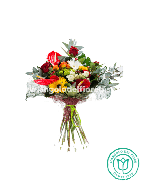 COLORI SOLARI - Classic