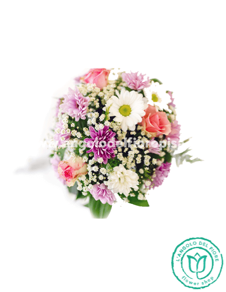 AMAMI - Premium - come foto