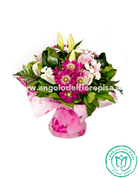 SORRISO ROSA - Classic