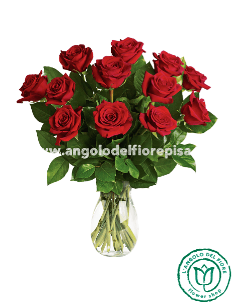 12 ROSE ROSSE Amore & Prestigio