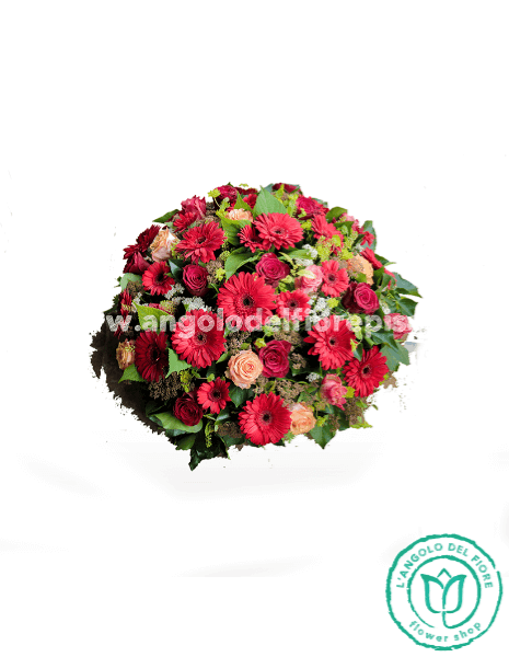 cuscino rosso/tonalità - Classic (come in foto)