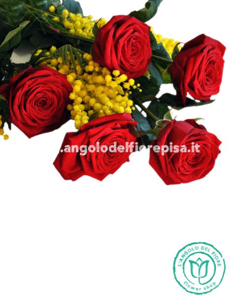 5 Rose rosse e mimosa