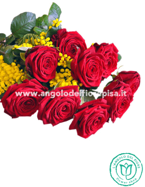 9 Rose rosse con mimosa 