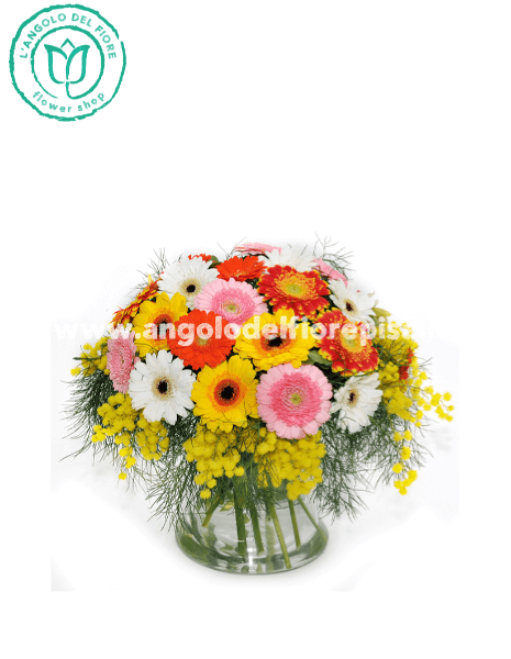 Bouquet gerbere miste con mimosa