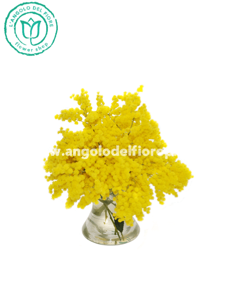 Bouquet di mimosa 3 steli