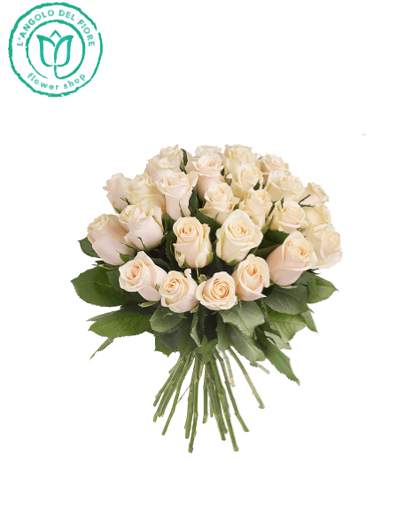 AURORA - 7 ROSE BIANCHE