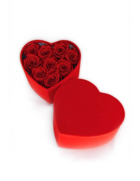 VELLUTO ROSSO