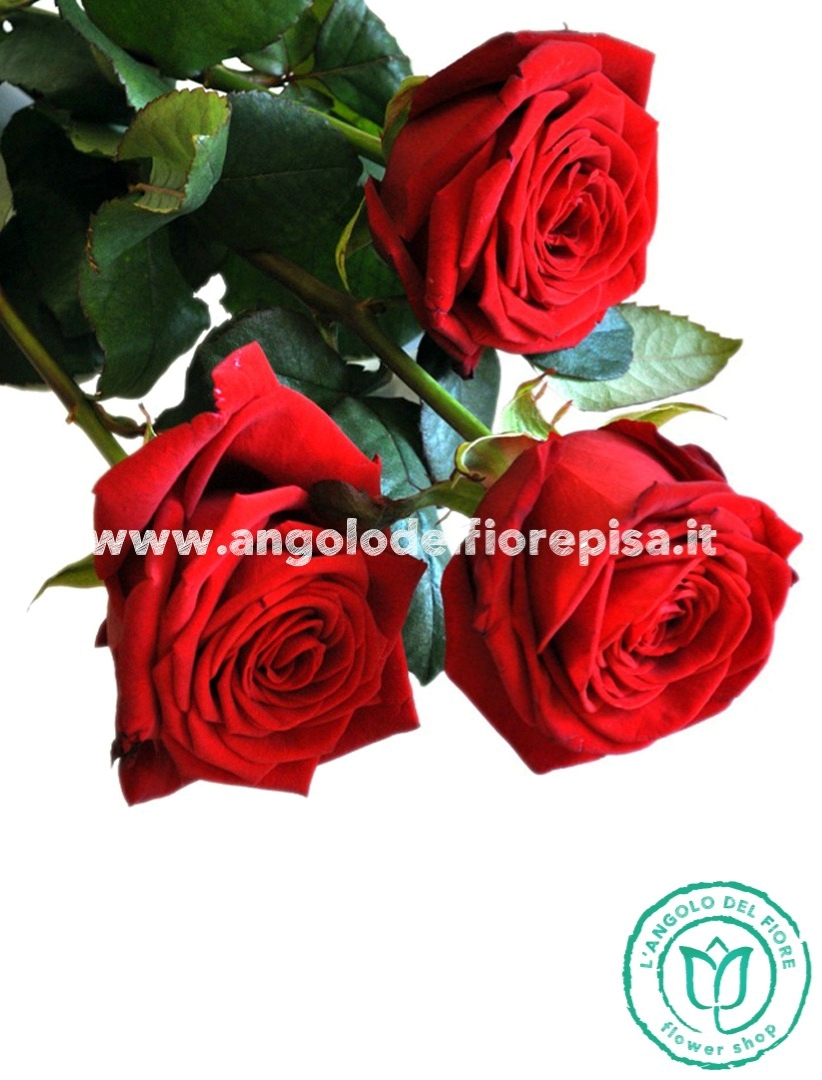 Mazzi di Rose Rosse per San Valentino a domicilio